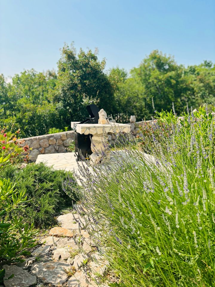 lavender and stone terrace in Mediterranean garden
