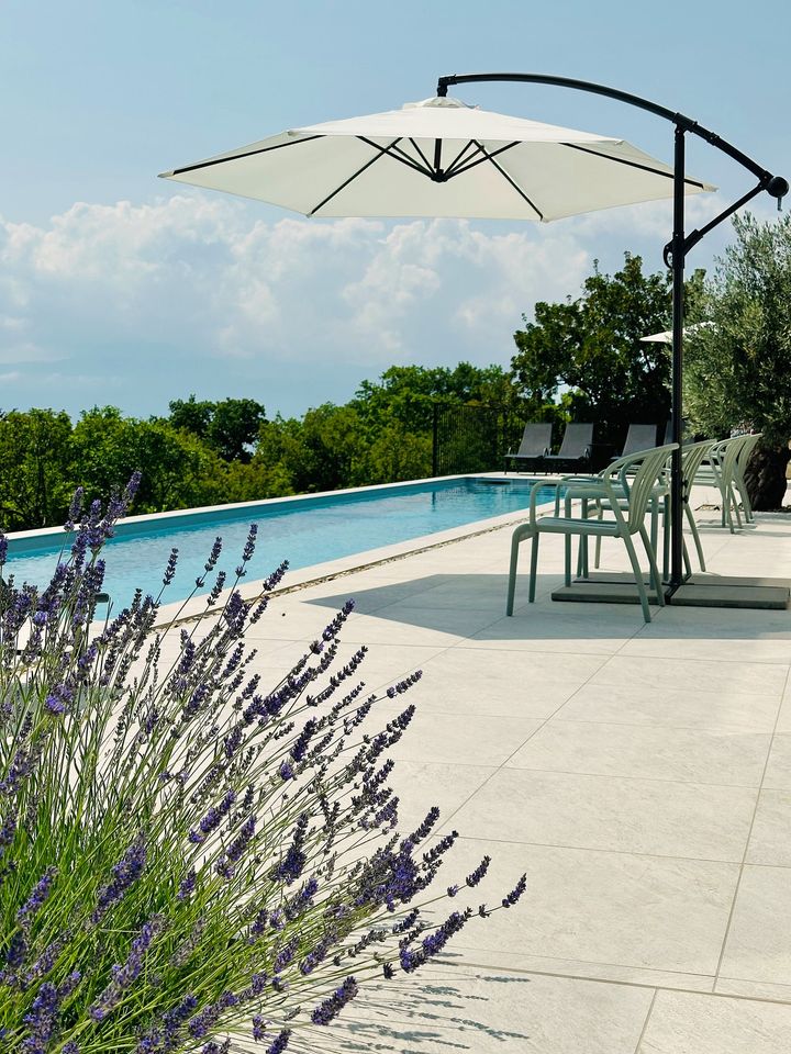 lavender in flower beside the pool terrace and parasol