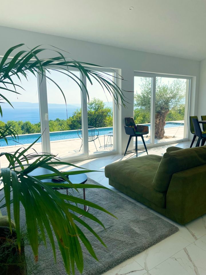 sea-view lounge with olive sofa and palm